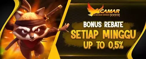 VIP Cashback Mingguan 0.5% promotional banner